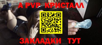шишки Донской