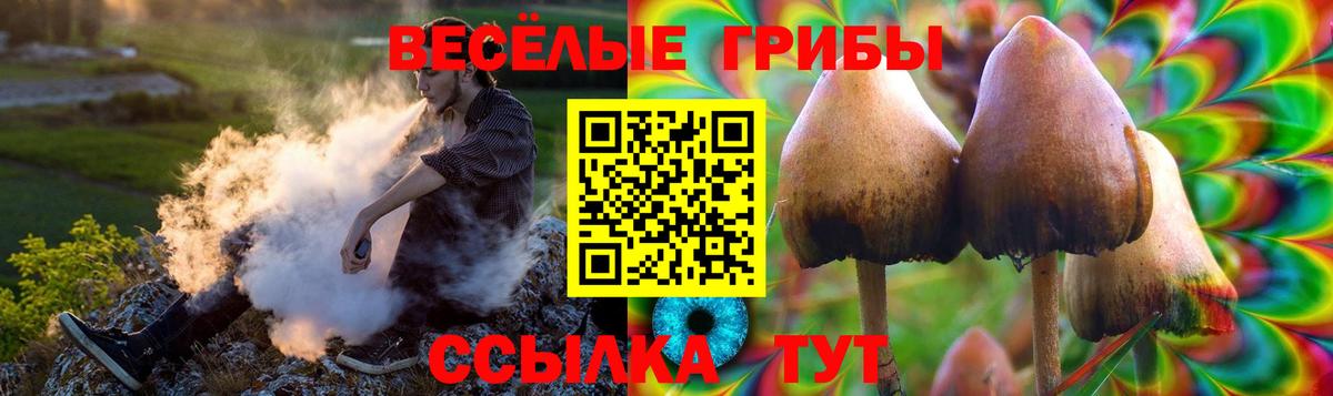 дарнет шоп  Вход с VPN  Мытищи  Галлюциногенные грибы ЛСД 